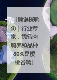 顺链探鸭④｜行业专家：我省肉鸭养殖品种80%是樱桃谷鸭