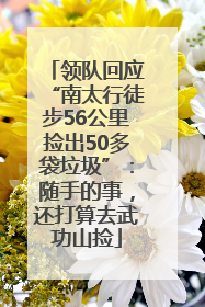 领队回应“南太行徒步56公里捡出50多袋垃圾”：随手的事，还打算去武功山捡