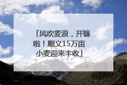 风吹麦浪，开镰啦！顺义15万亩小麦迎来丰收