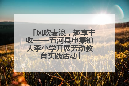 风吹麦浪，趣享丰收——五河县申集镇大李小学开展劳动教育实践活动