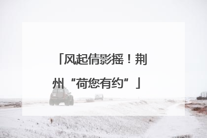 风起倩影摇！荆州“荷您有约”