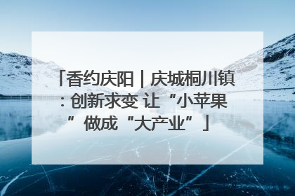 香约庆阳｜庆城桐川镇：创新求变 让“小苹果”做成“大产业”