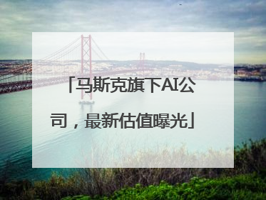 马斯克旗下AI公司，最新估值曝光