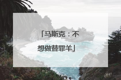 马斯克：不想做替罪羊