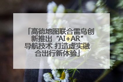 高德地图联合雷鸟创新推出“AI+AR”导航技术 打造虚实融合出行新体验