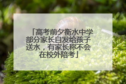 高考前夕衡水中学部分家长自发给孩子送水，有家长称不会在校外陪考