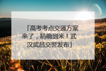高考考点交通方案来了，精确到米！武汉武昌交警发布
