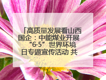 高质量发展看山西国企：中能煤业开展“6·5”世界环境日专题宣传活动 共筑绿色矿山