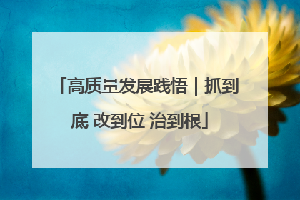 高质量发展践悟｜抓到底 改到位 治到根