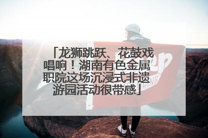龙狮跳跃、花鼓戏唱响！湖南有色金属职院这场沉浸式非遗游园活动很带感