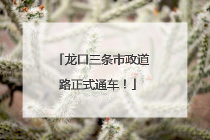 龙口三条市政道路正式通车！