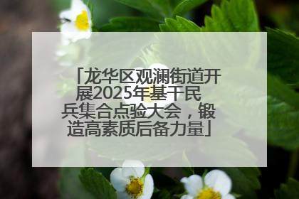 龙华区观澜街道开展2025年基干民兵集合点验大会，锻造高素质后备力量