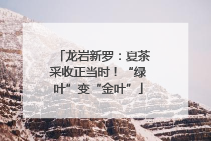 龙岩新罗：夏茶采收正当时！“绿叶”变“金叶”