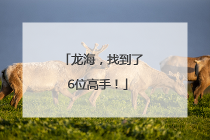 龙海，找到了6位高手！