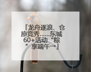 龙舟逐浪、仓廪竞秀……东城60+活动“粽”享端午→