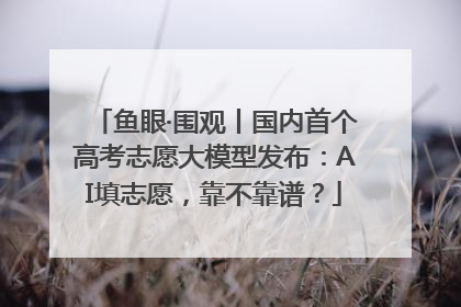 鱼眼·围观丨国内首个高考志愿大模型发布：AI填志愿，靠不靠谱？