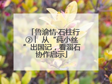 鲁渝情·石柱行② ︳从“莼小丝”出国记，看淄石协作启示
