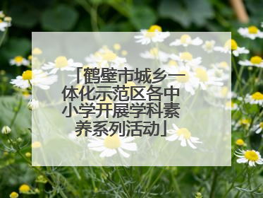 鹤壁市城乡一体化示范区各中小学开展学科素养系列活动