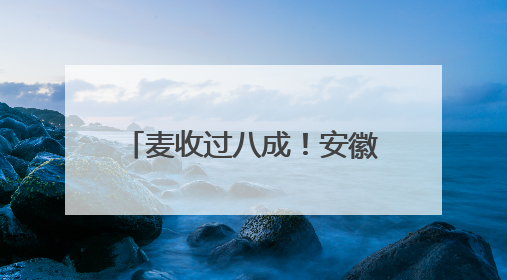 麦收过八成!安徽夏粮有望再迎丰收