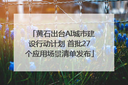 黄石出台AI城市建设行动计划 首批27个应用场景清单发布