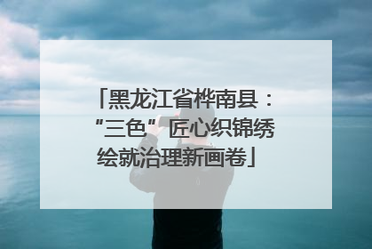 黑龙江省桦南县：“三色”匠心织锦绣 绘就治理新画卷