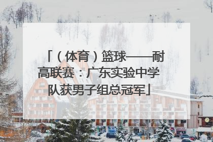 （体育）篮球——耐高联赛：广东实验中学队获男子组总冠军