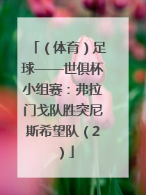 （体育）足球——世俱杯小组赛：弗拉门戈队胜突尼斯希望队（2）