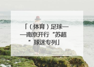（体育）足球——南京开行“苏超”球迷专列