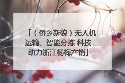 （侨乡新貌）无人机运输、智能分拣 科技助力浙江杨梅产销