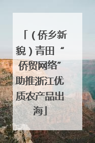（侨乡新貌）青田“侨贸网络”助推浙江优质农产品出海
