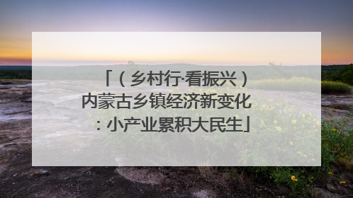 （乡村行·看振兴）内蒙古乡镇经济新变化：小产业累积大民生