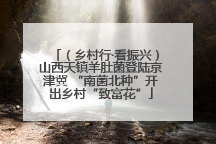 （乡村行·看振兴）山西天镇羊肚菌登陆京津冀 “南菌北种”开出乡村“致富花”