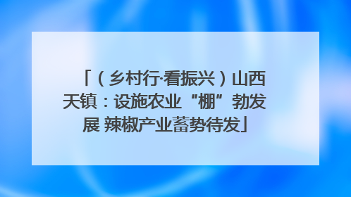 （乡村行·看振兴）山西天镇：设施农业“棚”勃发展 辣椒产业蓄势待发