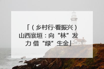 （乡村行·看振兴）山西襄垣：向“林”发力 借“绿”生金