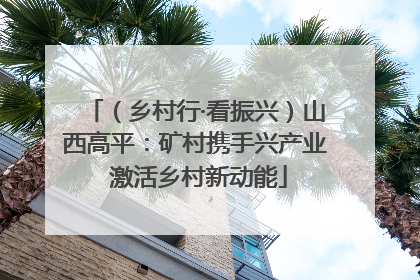 （乡村行·看振兴）山西高平：矿村携手兴产业 激活乡村新动能