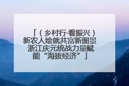 （乡村行·看振兴）新农人绘就共富新图景 浙江庆元统战力量赋能“海拔经济”