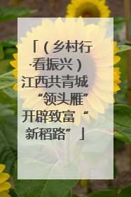 （乡村行·看振兴）江西共青城“领头雁”开辟致富“新稻路”