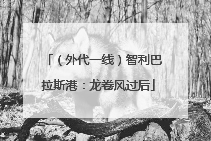 （外代一线）智利巴拉斯港：龙卷风过后
