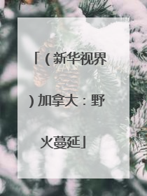 （新华视界）加拿大：野火蔓延