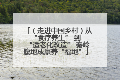 （走进中国乡村）从 “食疗养生” 到 “适老化改造” 秦岭腹地成康养“福地”