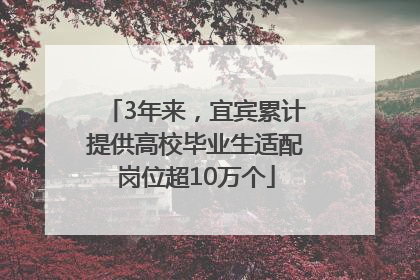 3年来，宜宾累计提供高校毕业生适配岗位超10万个