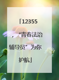 12355，“青春法治辅导员”为你护航