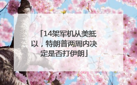 14架军机从美抵以，特朗普两周内决定是否打伊朗