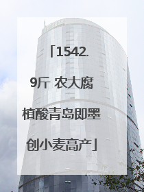 1542.9斤 农大腐植酸青岛即墨创小麦高产
