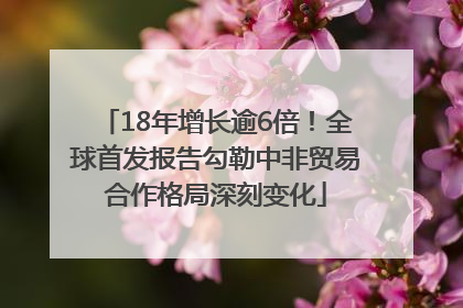 18年增长逾6倍！全球首发报告勾勒中非贸易合作格局深刻变化
