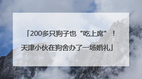 200多只狗子也“吃上席”！天津小伙在狗舍办了一场婚礼