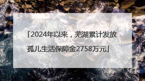 2024年以来，芜湖累计发放孤儿生活保障金2758万元