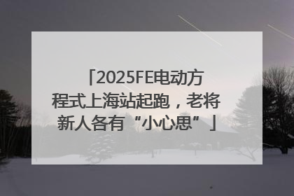 2025FE电动方程式上海站起跑，老将新人各有“小心思”