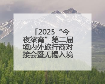 2025“今夜梁宵”第二届境内外旅行商对接会暨无锡入境旅游产品推介会成功举办