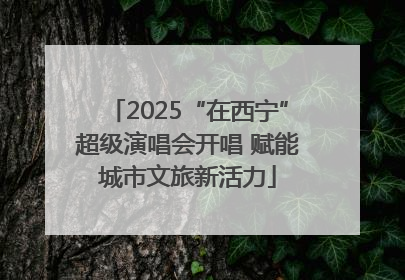 2025“在西宁”超级演唱会开唱 赋能城市文旅新活力